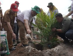 Wakil Bupati Asahan Resmikan Penanaman Perdana PSR Bersama PT BSP