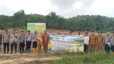 Polsek Barumun Tengah Dukung Ketahanan Pangan dengan Penanaman Jagung Serentak