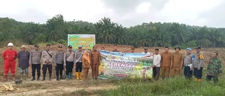 Polsek Barumun Tengah Dukung Ketahanan Pangan dengan Penanaman Jagung Serentak