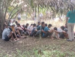 TNI Gerebek Sarang Narkoba, Amankan 20 Terduga Pelaku di Labuhanbatu Utara