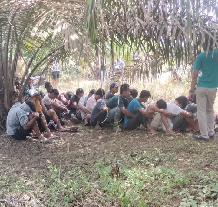 TNI Gerebek Sarang Narkoba, Amankan 20 Terduga Pelaku di Labuhanbatu Utara