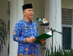 Sekda Langkat Tekankan Digitalisasi Pemerintahan dalam Apel Hari Kesadaran Nasional