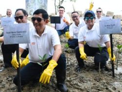 Inalum Perkuat Strategi Dekarbonisasi Lewat Restorasi Mangrove Bersama Grup MIND ID