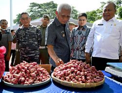 Pemprov Sumut Gelar Pasar Murah di 394 Titik, Harga Bahan Pokok Turun