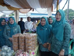 TP PKK Sumut Lakukan Monitoring di Desa Percontohan Asahan