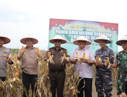 Sinergi Polres dan Pemkab Asahan: Panen Raya Jagung Jadi Langkah Nyata Perkuat Ekonomi Petani