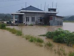 Banjir Terparah di Nias Selatan, Warga Minta Penanganan Serius dari Pemerintah