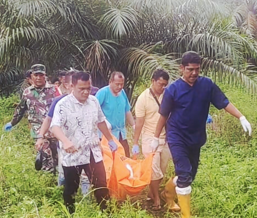 Warga Pijorkoling, Padangsidimpuan Tenggara, digegerkan penemuan pria meninggal di kebun, Kamis (8/1/2026). Polisi menyatakan kasus masih diselidiki.