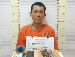 Polres Tapteng Ringkus Pengedar Paket Ganja dan Sabu di Lubuk Tukko Pandan