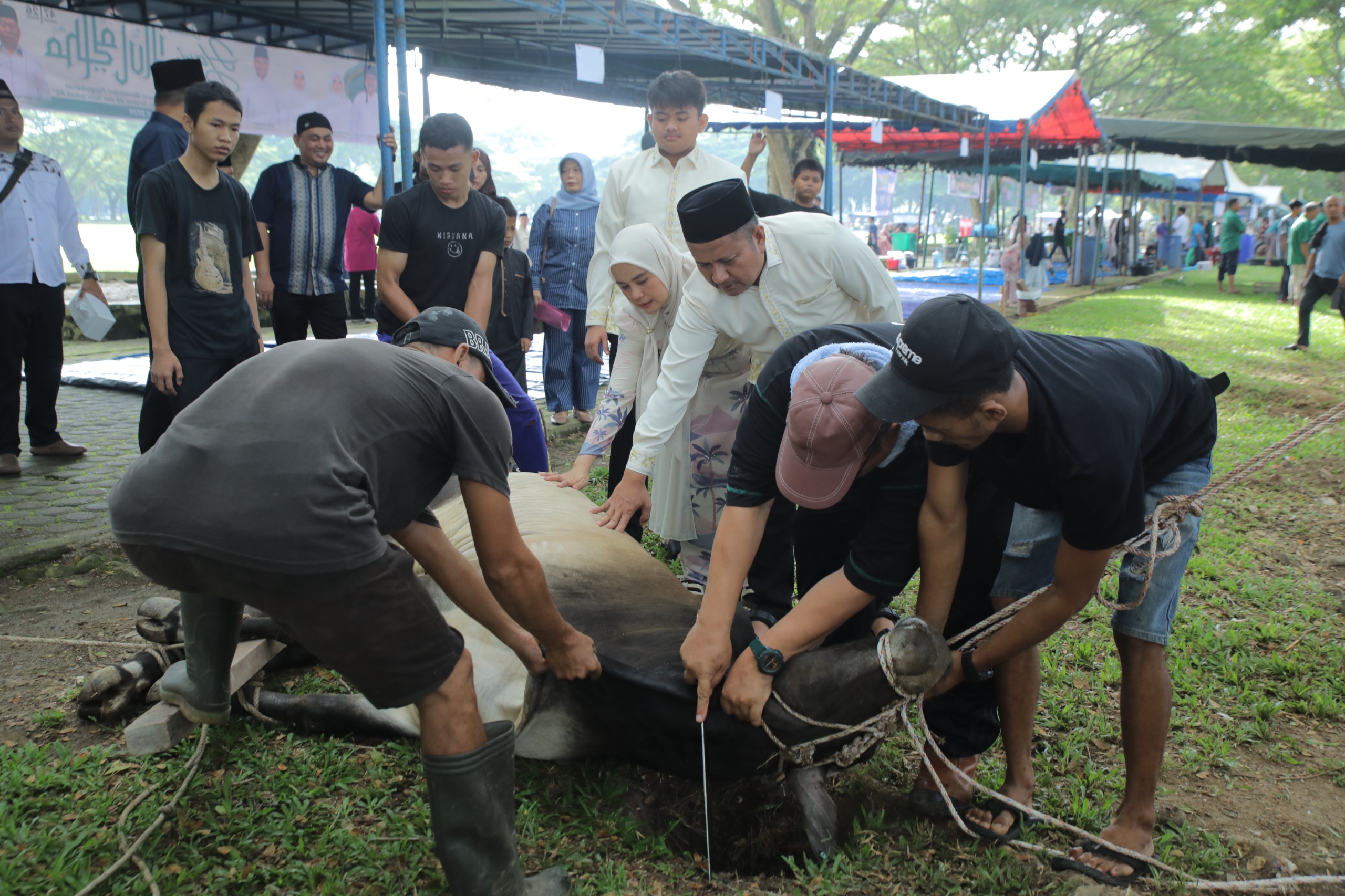 Pemkab Asahan Sembelih 101 Hewan Kurban, Daging Dibagikan untuk Masyarakat Kisaran