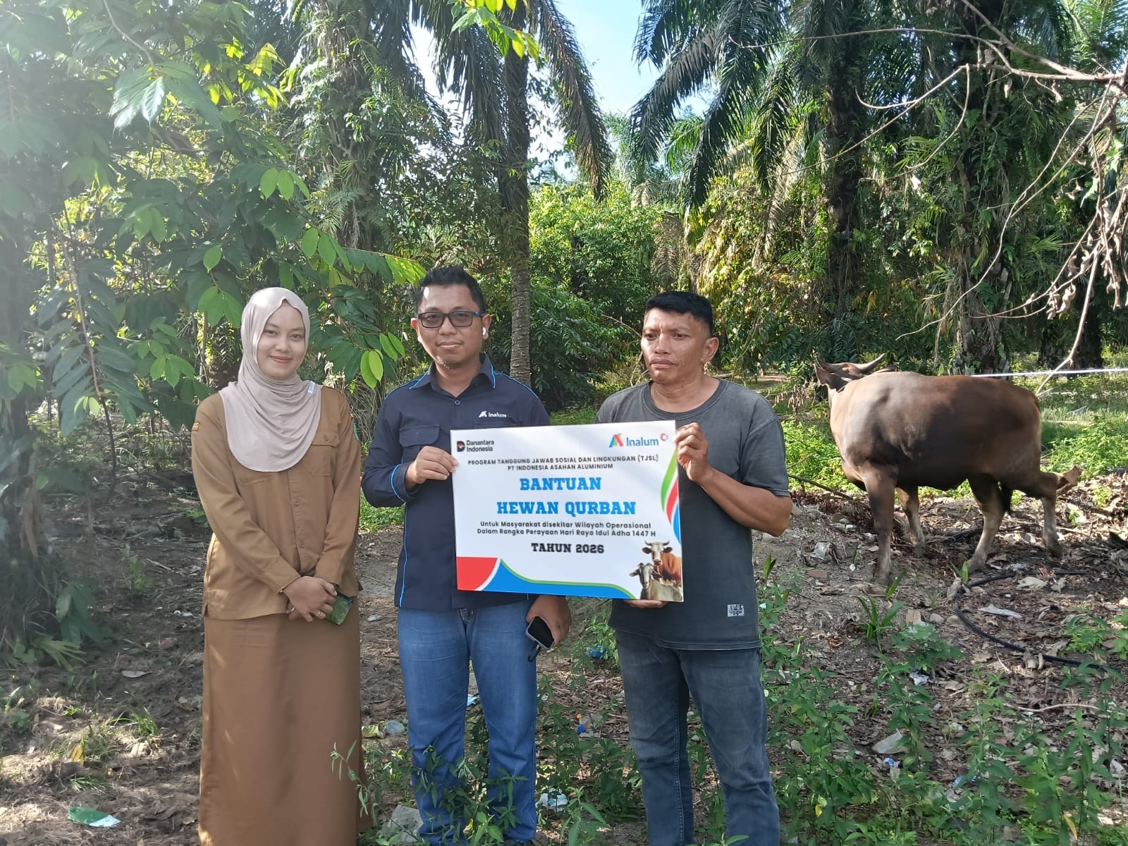 Inalum Salurkan 107 Hewan Kurban untuk Masyarakat Sumut, 101 Ekor Sapi dan 6 Kambing