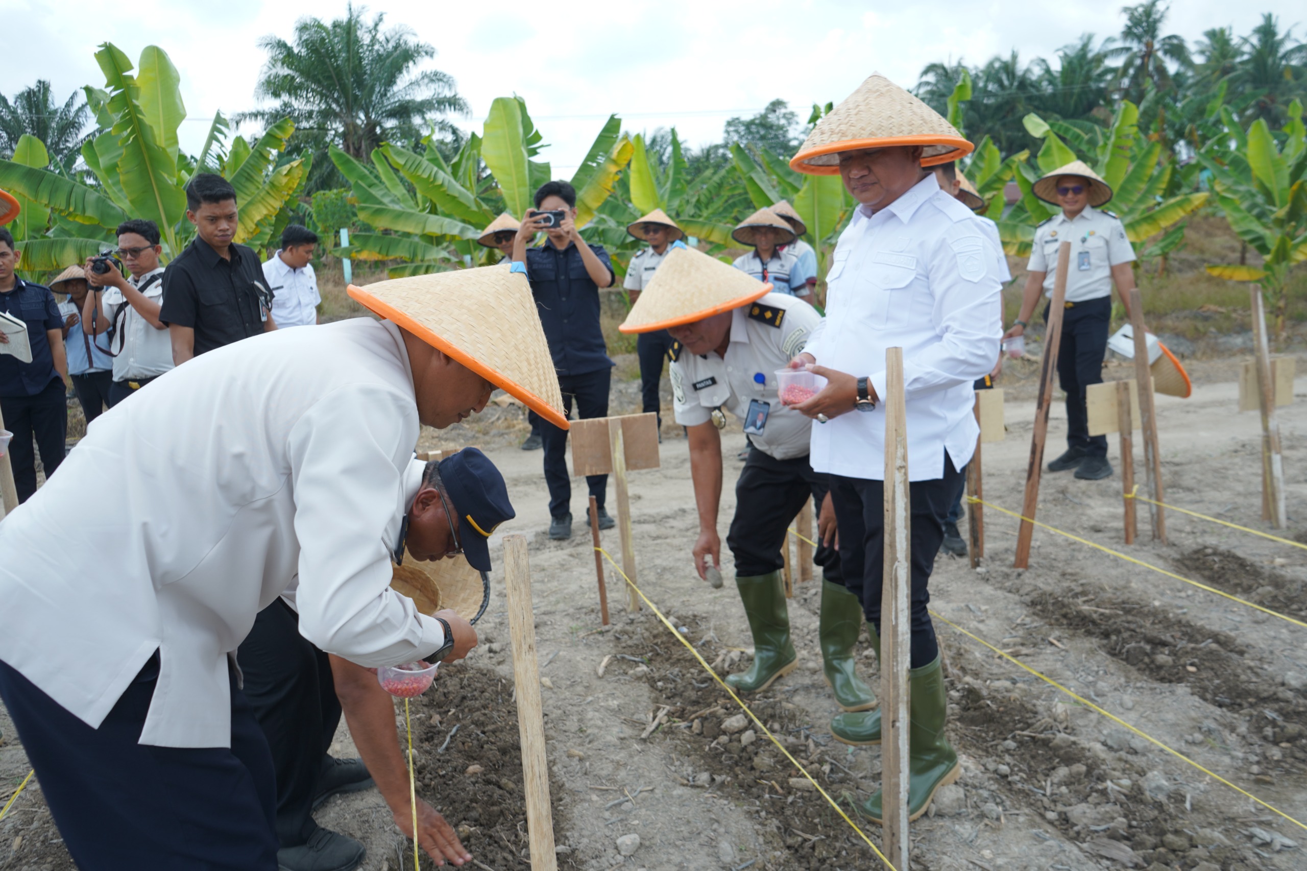 Wabup Asahan Dukung Penanaman Jagung Ketahanan Pangan Lapas Labuhan Ruku